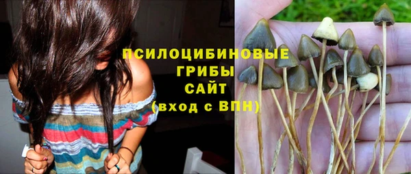бутират Богданович