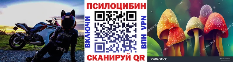 Псилоцибиновые грибы Cubensis  Кущёвская 